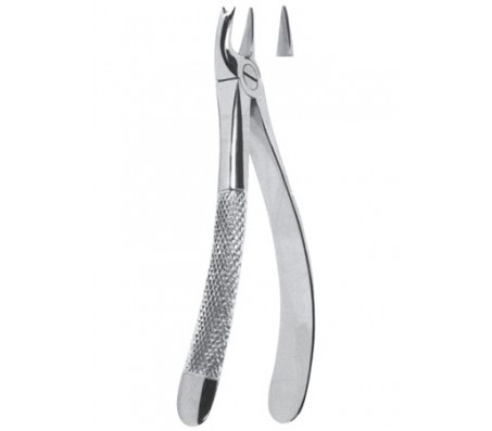 Extracting Forceps